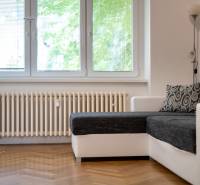 Wohnzimmer mit ausziehbarem Sofa und Heizkörper in einer 3-Zimmer-Wohnung.