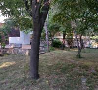 Ein Garten mit Rasen und Bäumen bei einem Einfamilienhaus in Vrsie, umgeben von Grün und Sträuchern.