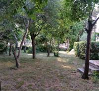 Der Garten eines Familienhauses in Vrsi mit dichtem Bewuchs und Rasen.