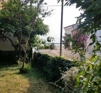 Der Garten eines Einfamilienhauses in Vrsi mit Meerblick zwischen dem Grün.