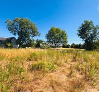 Grundstücke zum Wohnen in Horná Krupá mit Gras und Bäumen unter blauem Himmel.