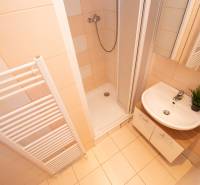 Badezimmer in einer Einzimmerwohnung mit Waschbecken, Duschkabine und Handtuchheizkörper.