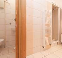 Badezimmer in einer Einzimmerwohnung mit WC, Waschbecken und Duschkabine, helle Fliesen.