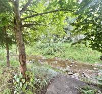 Ein Bach umgeben von üppiger Vegetation, Bäumen und Steinen in der Natur bei Makov.