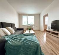 Wohnzimmer in einer 4-Zimmer-Wohnung mit Sofa, Tisch und Fernseher auf Holzboden.