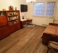 Schöner Wohnbereich mit Sofa und Bücherregal in einer 2-Zimmer-Wohnung, Holzboden.