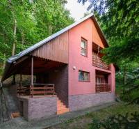 Ein Ferienhaus in Ružiná, umgeben von Grün, mit typischer Architektur und Holzelementen.