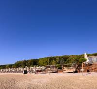 Ein Strand mit Liegestühlen und Sonnenschirmen, umgeben von Wald und klarem Himmel.