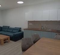Wohnzimmer mit Küchenzeile, Sofa und Holzmöbeln in einer 2-Zimmer-Wohnung.