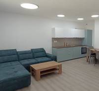 Das Wohnzimmer mit Küche umfasst ein bequemes Sofa, einen Holztisch und eine Küchenzeile.