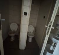 Innenraum des Gebäudes: zwei separate Toiletten mit Waschbecken.