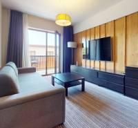 Wohnzimmer in einer 2-Zimmer-Wohnung mit Sofa, Fernseher und Zugang zum Balkon.