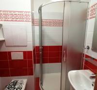 Badezimmer in einer 2-Zimmer-Wohnung mit roten Fliesen, einer Duschkabine und einem Waschbecken.