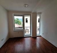 Ein leerer Raum mit Holzboden und großen Fenstern in einer 2-Zimmer-Wohnung.