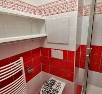 Badezimmer in einer 2-Zimmer-Wohnung mit auffälligen roten und weißen Fliesen.