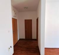Ein reiner weißer Flur mit Eingangstüren in einer 2-Zimmer-Wohnung.