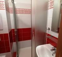 Ein Badezimmer mit einer Dusche und einem Waschbecken in einer 2-Zimmer-Wohnung mit roten Fliesen.