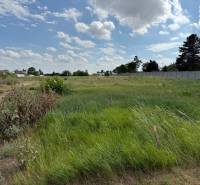 Grünland in Potzneusiedl, ideal zum Wohnen. Klarer Himmel, leicht bewölkt.