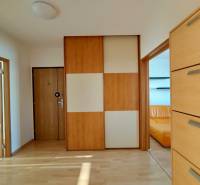 Eingangsbereich mit Einbauschrank und Boden in Holzoptik in einer 3-Zimmer-Wohnung.