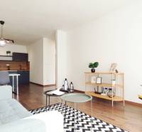 Wohnzimmer in einer Zweizimmerwohnung mit einfacher Möblierung, Holzboden und Kochnische.