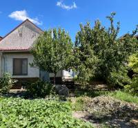 Ein Einfamilienhaus in Kolárovo mit Obstbäumen im Garten unter blauem Himmel.