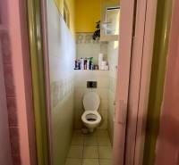 Badezimmer in einem Einfamilienhaus mit Toilette und Regal mit Reinigungsmitteln.