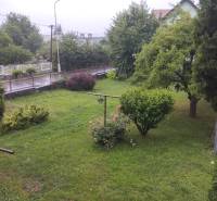 Garten mit Sträuchern im Bereich eines Einfamilienhauses in Martin Stráne.
