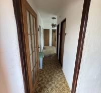 Flur in einem Einfamilienhaus mit Teppichboden und Holztüren.