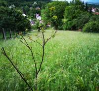 Die Natur in Nitrianske Sučany, Einfamilienhäuser zwischen Grünflächen und Hügeln in der Straße Nitrianske Sučany.