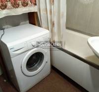 Badezimmer in einer Einzimmerwohnung mit Waschmaschine, Badewanne und Teppich.