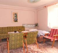 Wohnzimmer in einem Einfamilienhaus, Vintage-Möbel, Teppich, helle Wände, großes Fenster.