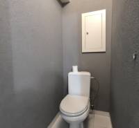Graues Badezimmer mit Toilette und Regal in einer 3-Zimmer-Wohnung.