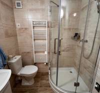 Badezimmer mit Toilette, Duschkabine und Handtuchheizkörper in einem Einfamilienhaus.