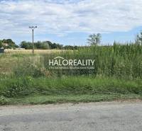 Landwirtschaftliche und forstwirtschaftliche Grundstücke in Čierny Brod, umgeben von hoher Vegetation und ländlicher Umgebung.
