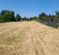 Flache Grundstücke - gewerblich in der Stadt Sládkovičovo, Straße Sládkovičovo, mit Grünflächen an den Seiten.