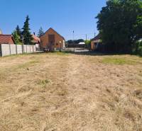 Ein Garten bei einem Einfamilienhaus in Sládkovičovo mit gepflegtem Rasen und einem Zaun.