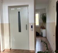 Interieur einer 2-Zimmer-Wohnung mit Aufzug, Pflanzen und Licht vom Fenster im Flur.