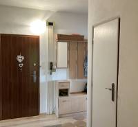 Eingangshalle in einer Zweizimmerwohnung mit einem Schrank und einer Garderobenwand.