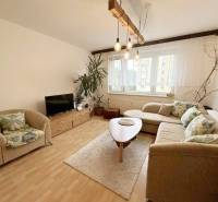 Wohnzimmer in einer 2-Zimmer-Wohnung mit Sofa, Sessel, Fernseher und Pflanze.