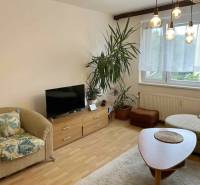 Wohnzimmer in einer Zweizimmerwohnung; Sessel, Fernseher, Pflanzen, Fenster mit Vorhang.