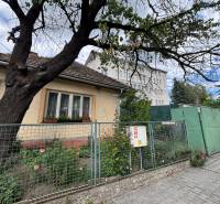 Ein Einfamilienhaus in Ilava mit einem Vorgarten und einem großen Baum neben dem Gehweg.