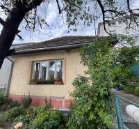 Ein Einfamilienhaus in Ilava mit gepflegtem Garten und Blumen unter dem Fenster.