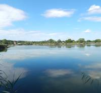 Der See bei Klížska Nemá, umgeben von Bäumen und Schilf, mit einem ruhigen Himmel.