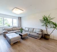 Wohnzimmer in einer 4-Zimmer-Wohnung mit Ledersofa, Pflanze und Holzboden.
