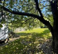 Der Garten des Einfamilienhauses in Veľké Blahovo, umgeben von Bäumen und Grün.