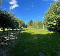 Garten bei einem Einfamilienhaus in Veľké Blahovo mit Rasen und Obstbäumen.