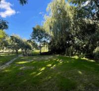 Der Garten beim Einfamilienhaus in Veľké Blahovo, umgeben von Grün und Bäumen.