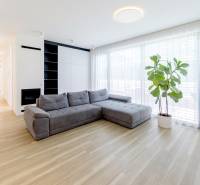 Geräumiges Wohnzimmer mit grauem Sofa und Boden in Holzoptik in einer 3-Zimmer-Wohnung.