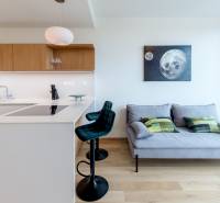 Küche und Wohnzimmer mit Sofa in einer 2-Zimmer-Wohnung, helle Holzböden.