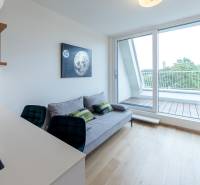Helles Wohnzimmer in einer 2-Zimmer-Wohnung mit Sofa und Blick durch ein großes Fenster auf den Balkon.